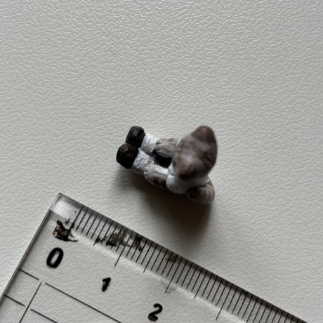 小さい猫