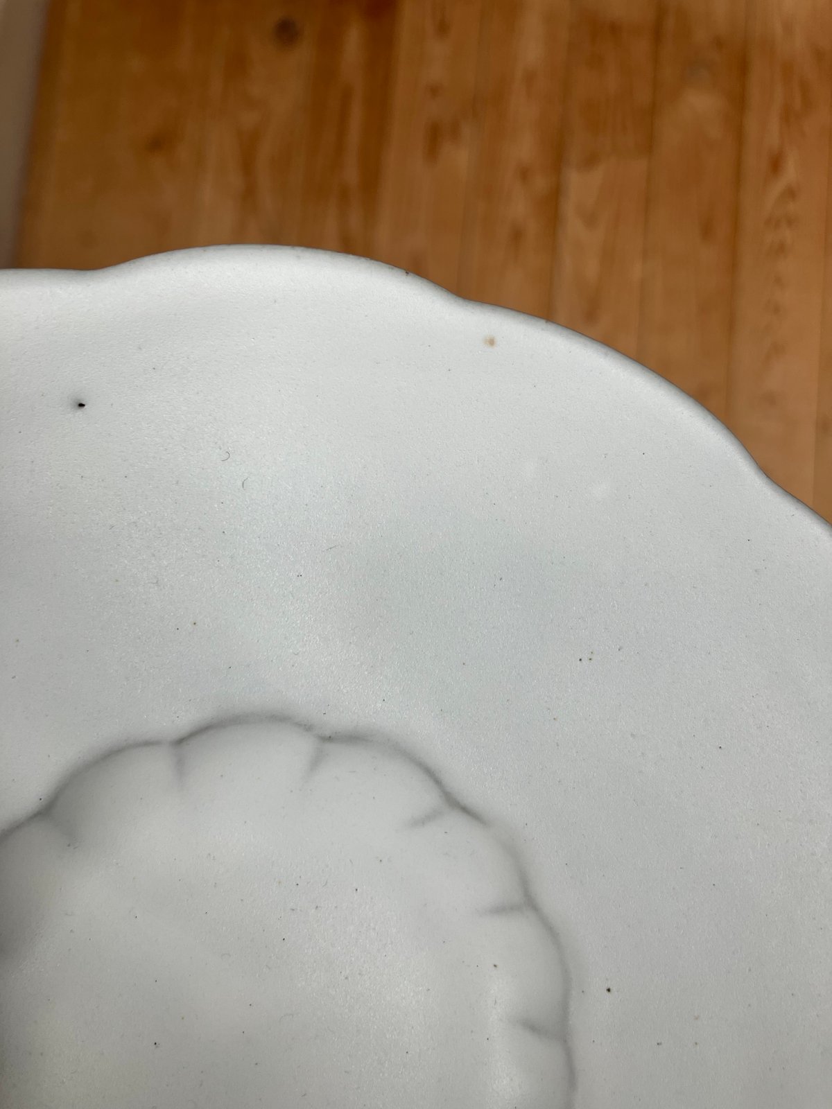 安藤雅信さん　白糖釉イタリア広輪花皿　2枚 安藤雅信】イタリアリム広輪花皿SS（白糖釉） | ギャルリ百草