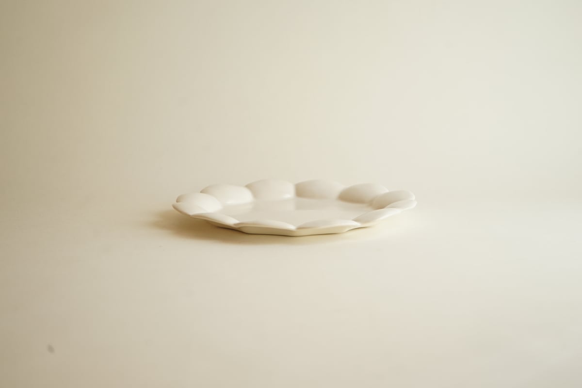 安藤雅信さん オランダパン皿 乳白艶釉 21×1.5 6枚セット 新品未使用