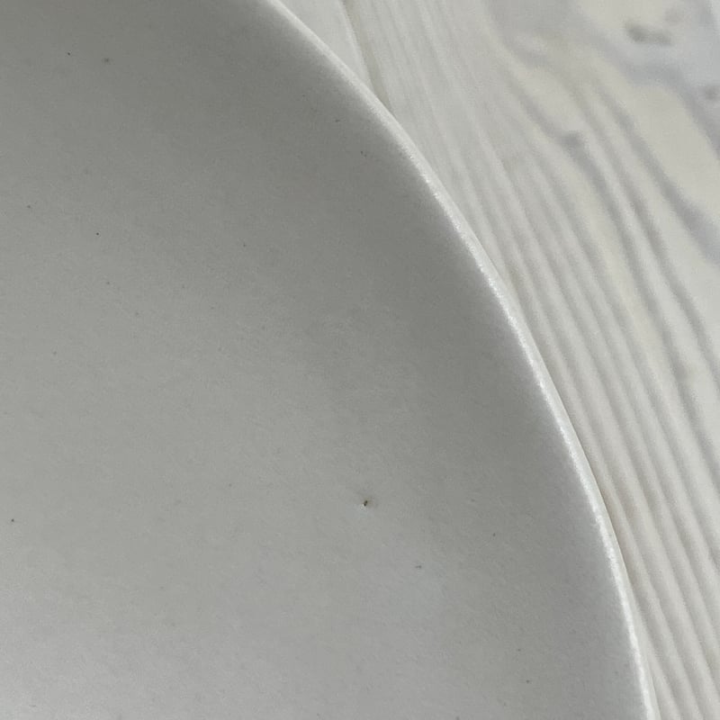 安藤雅信】取分鉢 L（白マット釉） | ギャルリ百草 online store