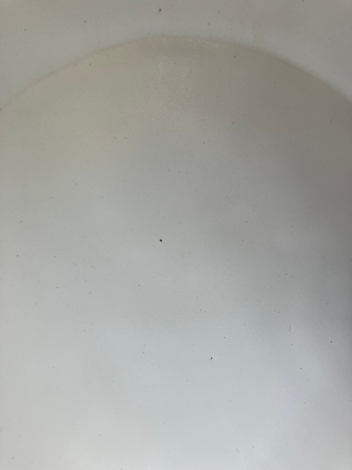 安藤雅信】イタリアリムパスタ皿 M（白マット釉） | ギャルリ百草