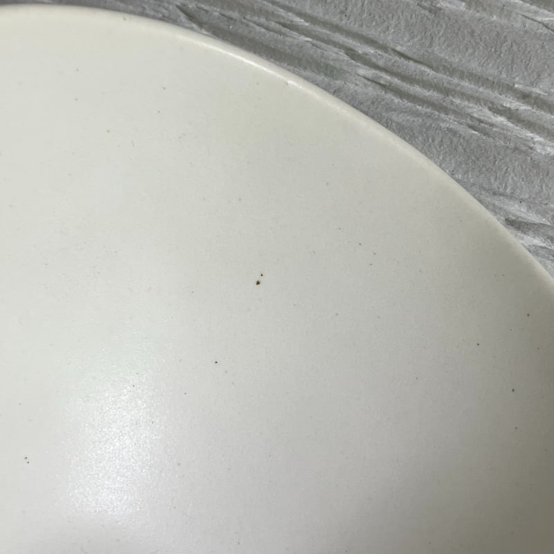 安藤雅信さん イタリア輪花スープ皿 安藤雅信さん輪花スープ皿2