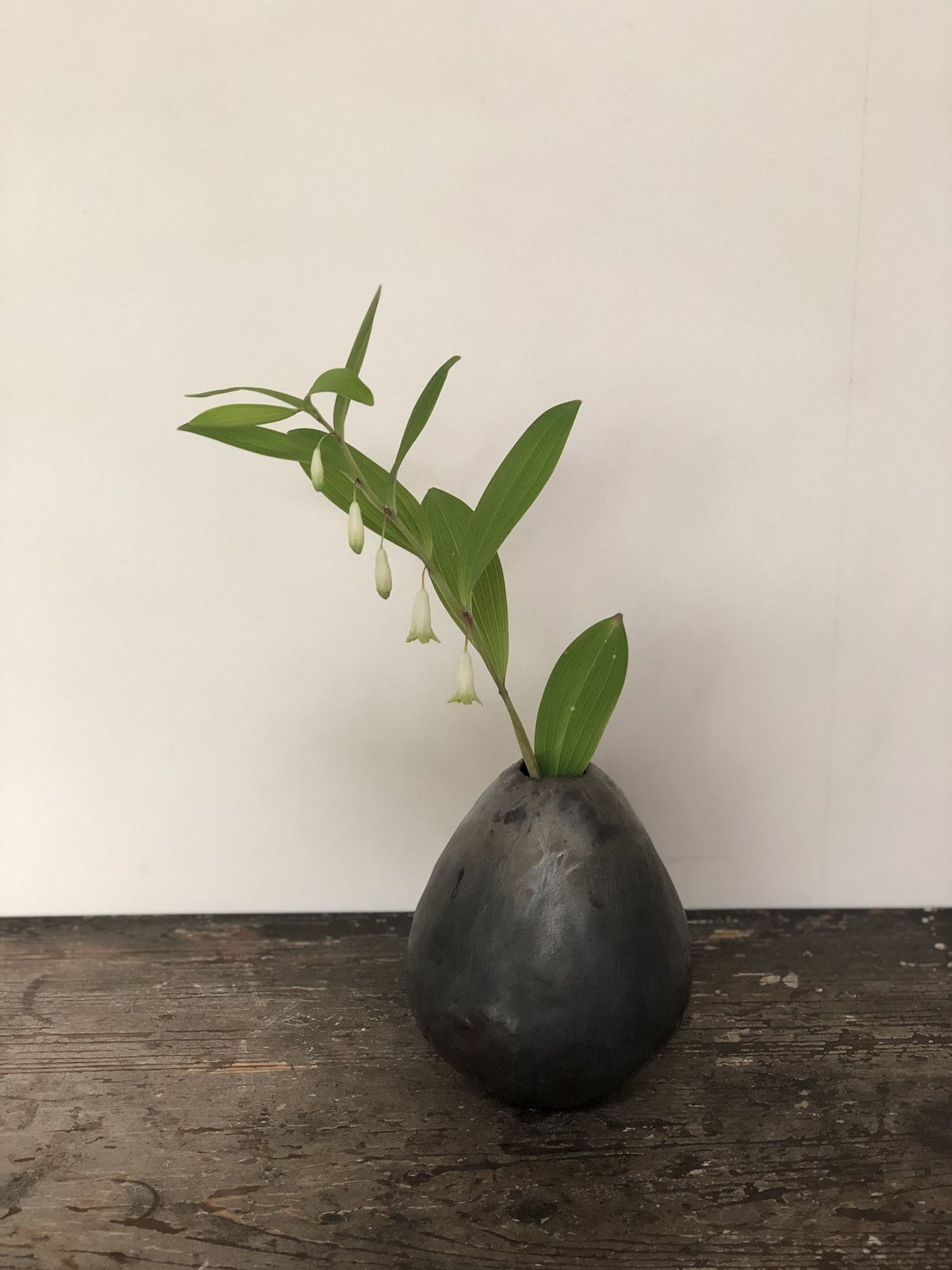 百草　安藤雅信 ギャルリ百草 online store