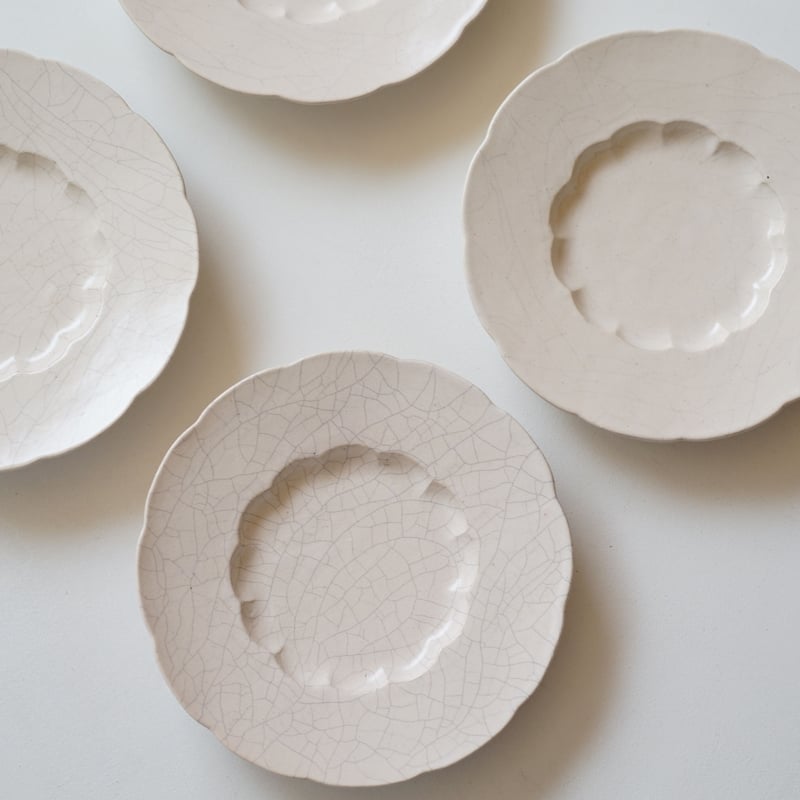 安藤雅信さん　白糖釉イタリア広輪花皿　2枚 安藤雅信】イタリアリム広輪花皿SS（白糖釉） | ギャルリ百草