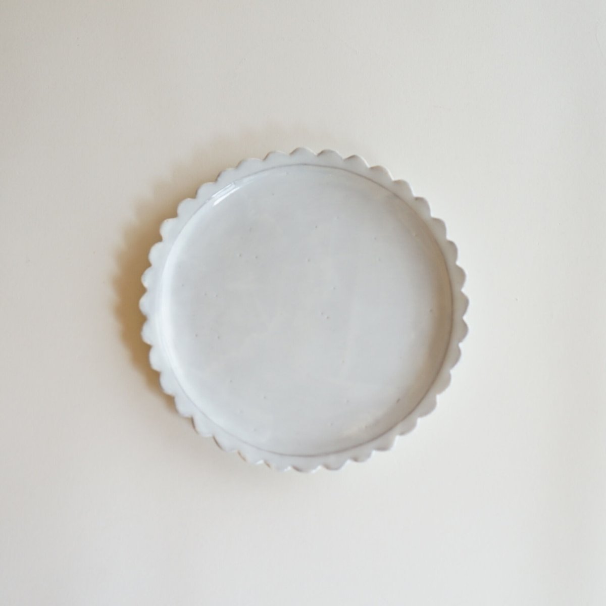 お値下げ　新品未使用　安藤雅信　白菊皿 M　2枚セット 安藤雅信】粉白菊皿 M（化粧土に青白釉） | ギャルリ百草 online store