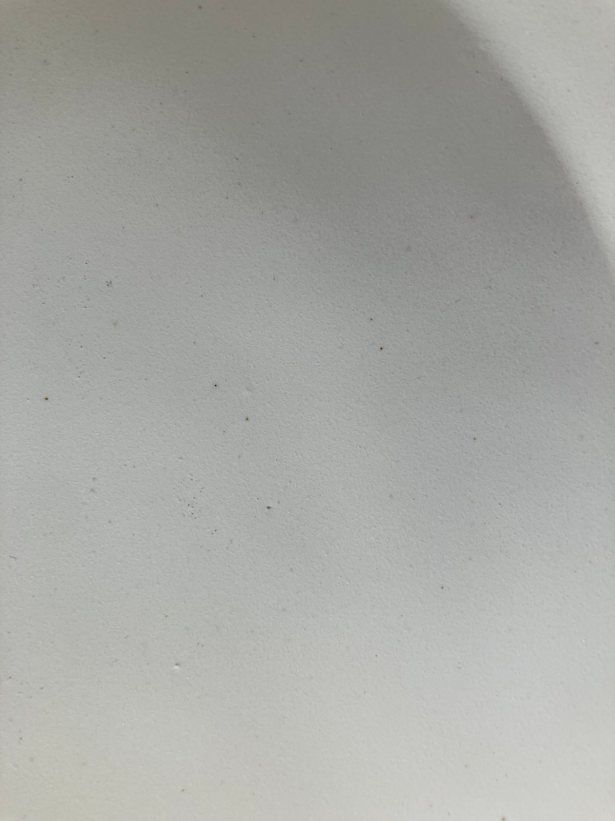 安藤雅信】イタリアリムパスタ皿 M（白マット釉） | ギャルリ百草