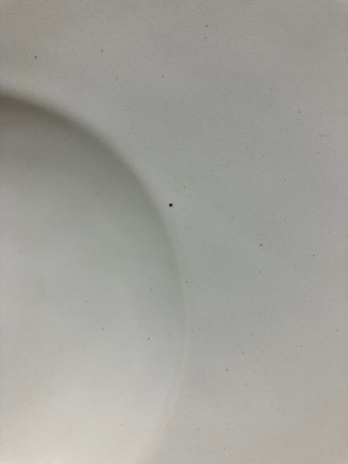 安藤雅信】 リムイタリア皿 S（白マット釉） | ギャルリ百草 online store