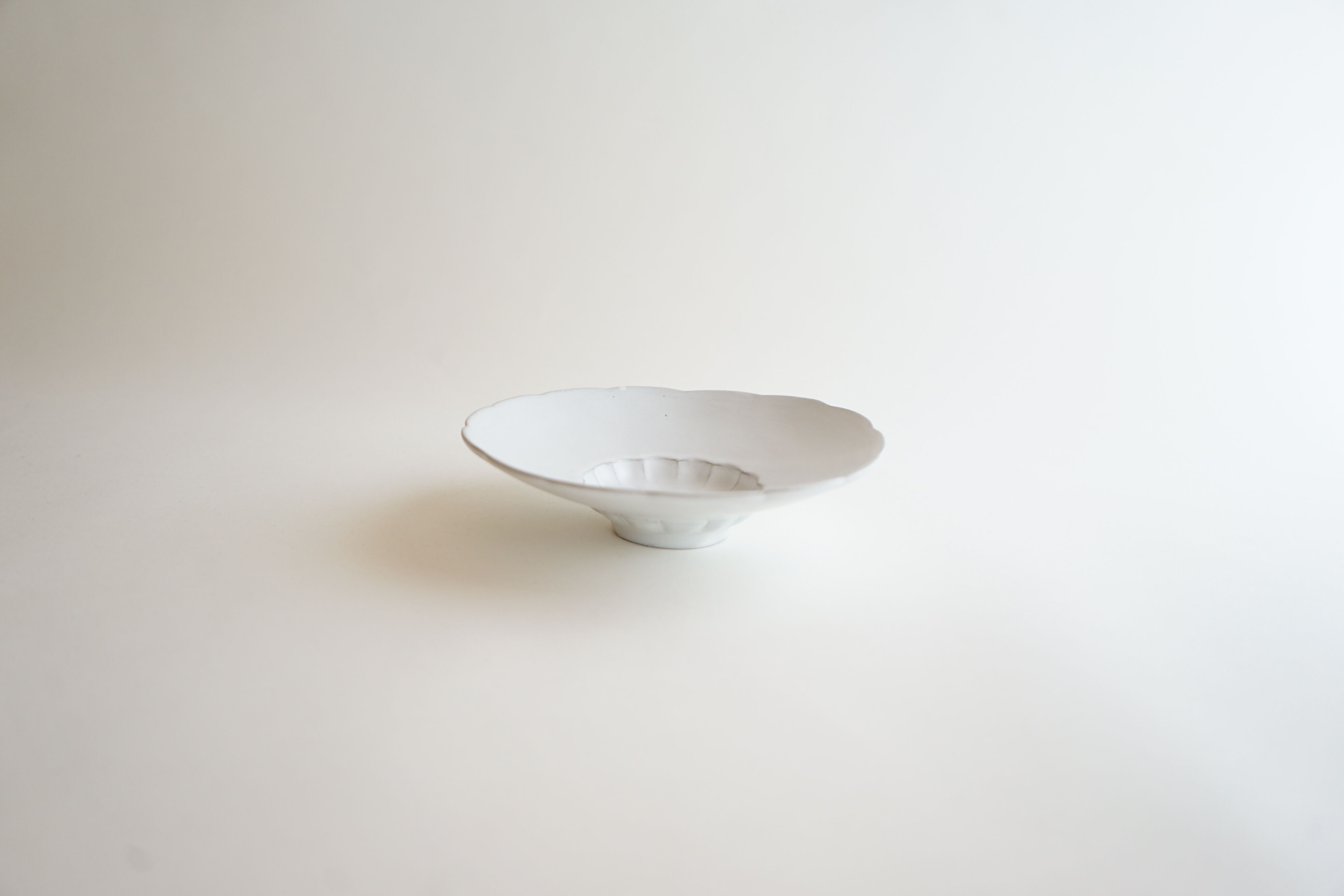 安藤雅信】白糖釉イタリアリム広輪花皿SS | ギャルリ百草 online store