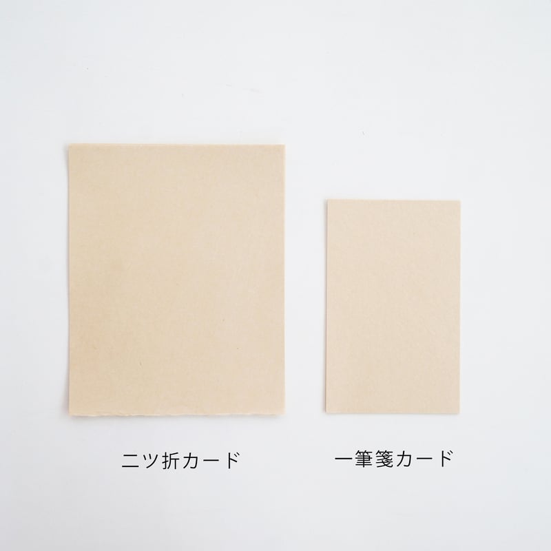 るる様専用 コレクターユイ 直筆サイン色紙2枚セット (MDS BtoB るる様専用 コレクターユイ 直筆サイン色紙2枚セット (MDS BtoB