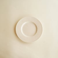 安藤雅信さん　リムボウル2客セット 安藤雅信さん リムボウル2客セット 安藤雅信 リムボール 24