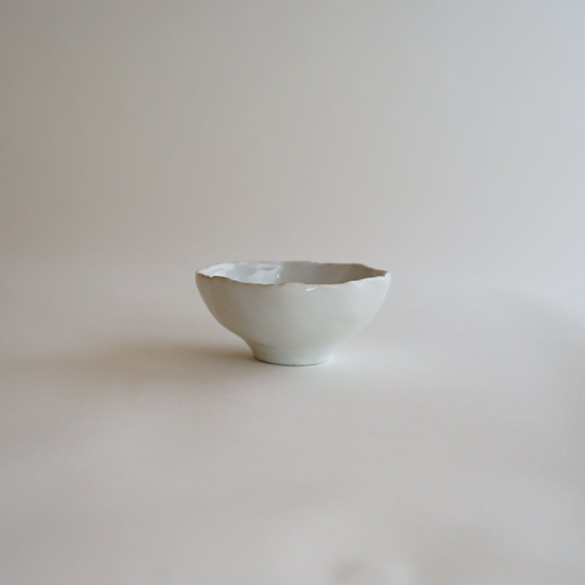 【安藤雅信】オランダ皿 2枚セット 安藤雅信 皿 2点セット 安藤雅信｜オランダシリーズ