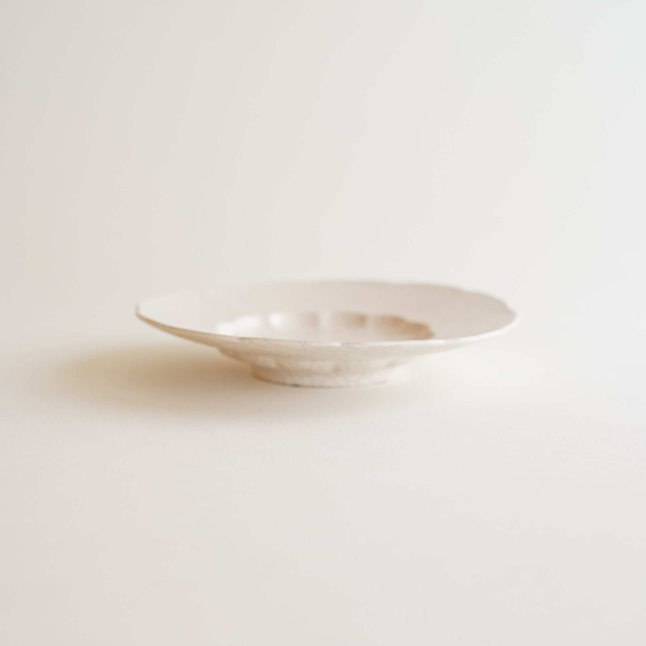 安藤雅信】貫入釉イタリア平輪花皿 | ギャルリ百草 online store