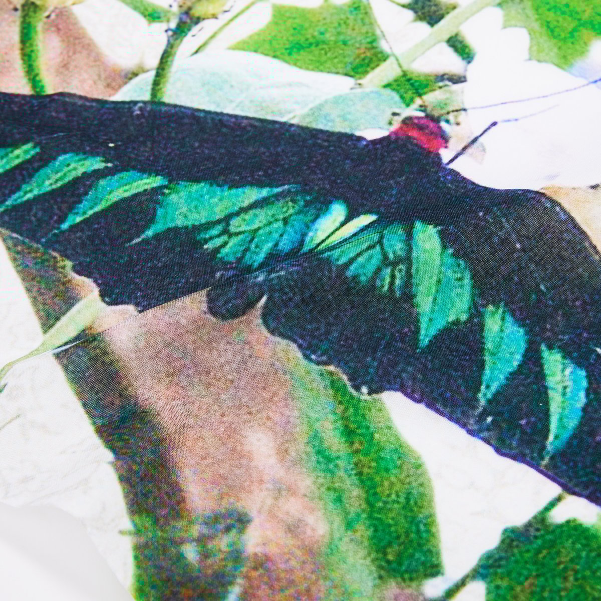 rajabrooke てぬぐい rajabrooke 手ぬぐい