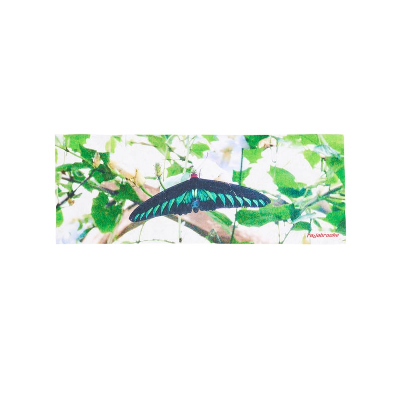 rajabrooke BUTTERFLY TENUGUI - Mansion Butik HA