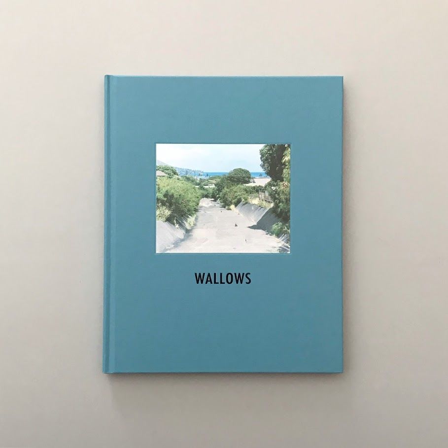 WALLOWS Taro Hirano 写真集 pool 平野太呂 アートブック POOL 平野 太呂 TARO HIRANO (改訂版) | Less Higash