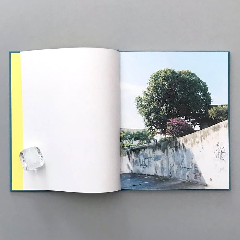 WALLOWS Taro Hirano 写真集 pool 平野太呂 I HAVEN'T SEEN HIM』平野太