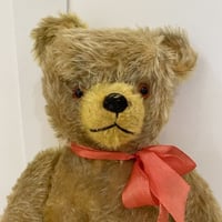 大きめテディベア