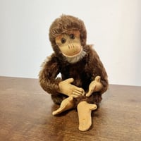 ハーマンのサル