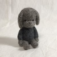 垂れ耳ワンちゃん