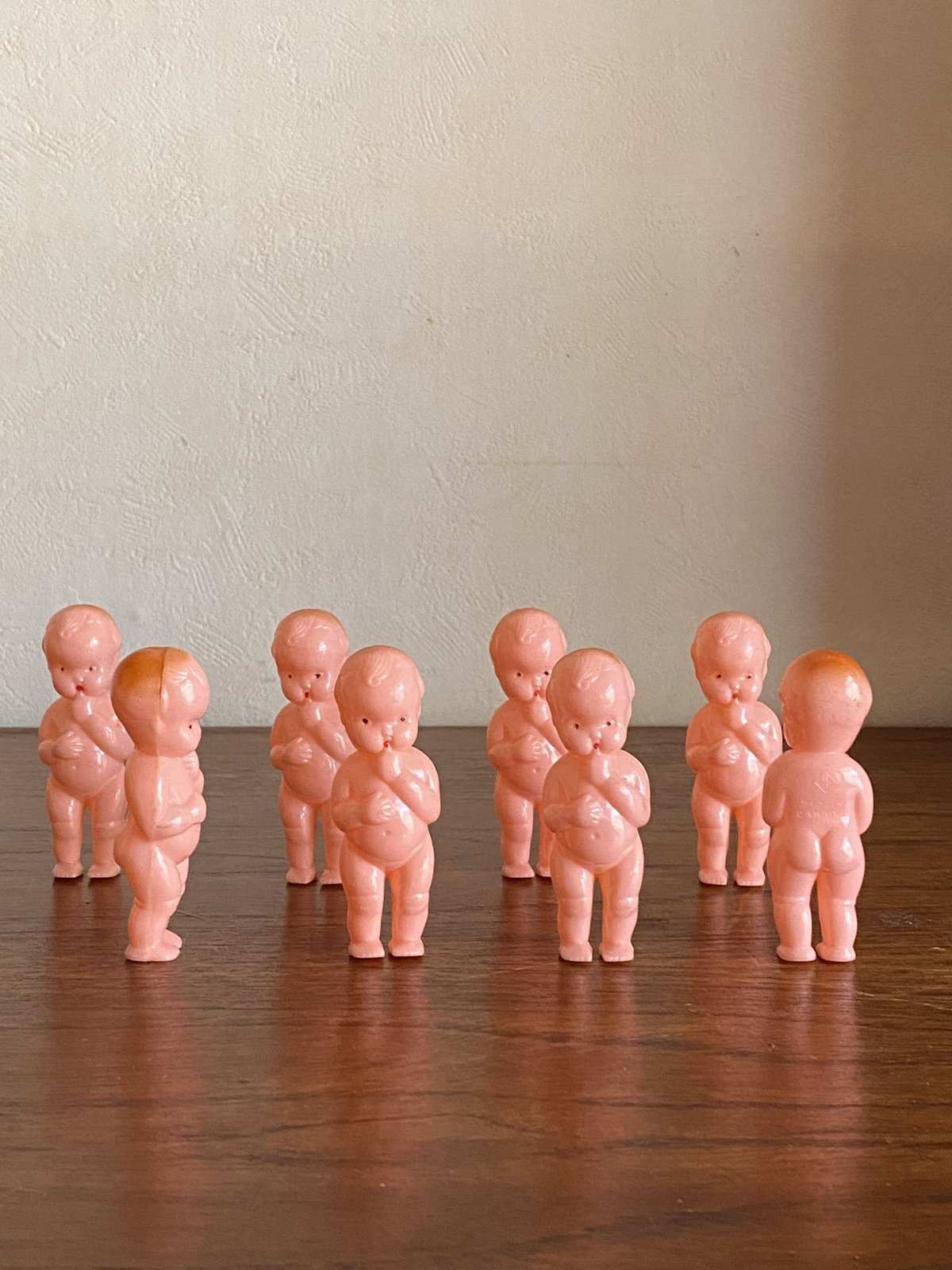 カナダの赤ちゃん | Biscuit web store