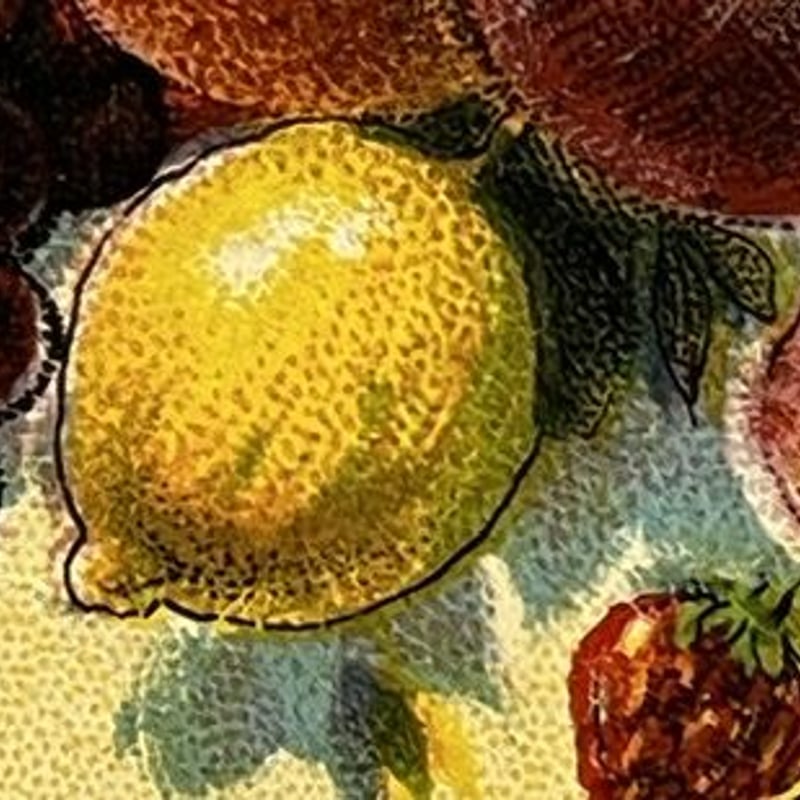 オランダのフルーツシロップのラベル | Biscuit web store