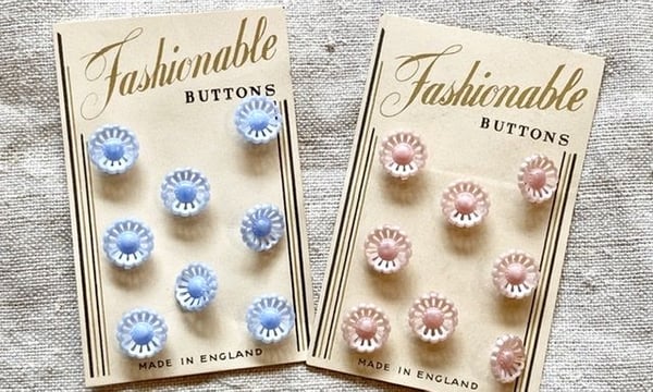 Biscuit web store