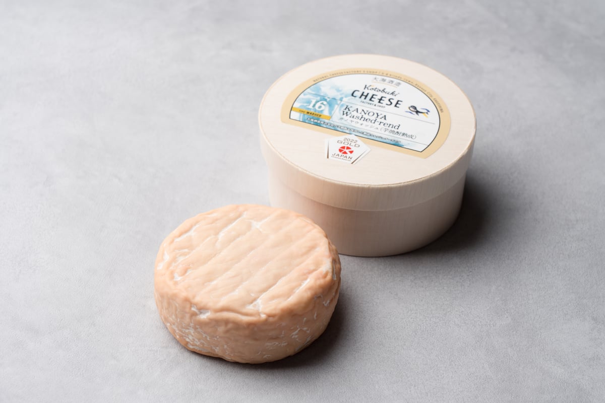 KANOYA WASH CHEESE ‐ 芋焼酎熟成 | kotobukicheese STORE