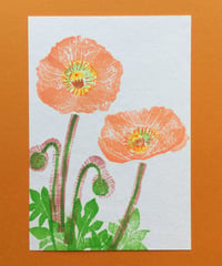 Post Card_ ポピー2　　　　　　　　　【 Hand Print card_ poppy02 】