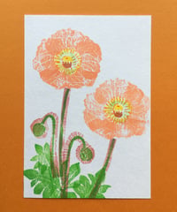 Post Card_ ポピー1　　　　　　　　　【 Hand Print card_ poppy01 】
