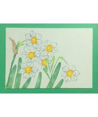Post Card_ 水仙　　　　　　　　　　【 Hand Print card_daffodil 】