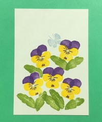 Post Card_ ビオラ（黄）　　　　　　　【 Hand Print card_ viola_violet 】