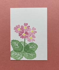 Post Card_ サクラソウ　　　　　　　　　【 Hand Print card_ primrose 】
