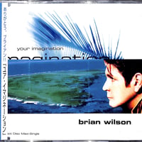 ブライアン・ウィルソン / ユア・イマジネーション [※新品未開封品][※国内盤][※品番:BVCG-4901](CD)