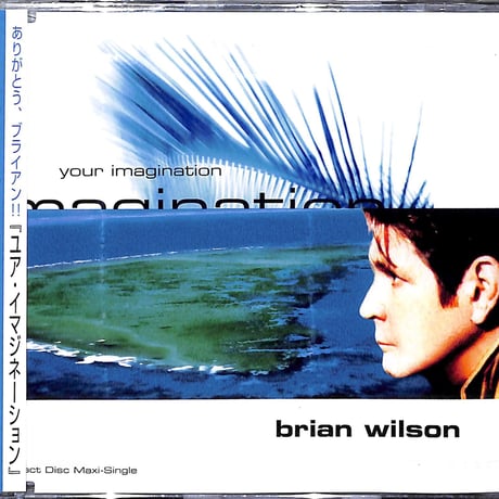 brianwilson | STORES