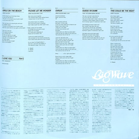 山下達郎 / ビッグウェイブ [※国内盤,品番:MOON-28019］(LPレコード)