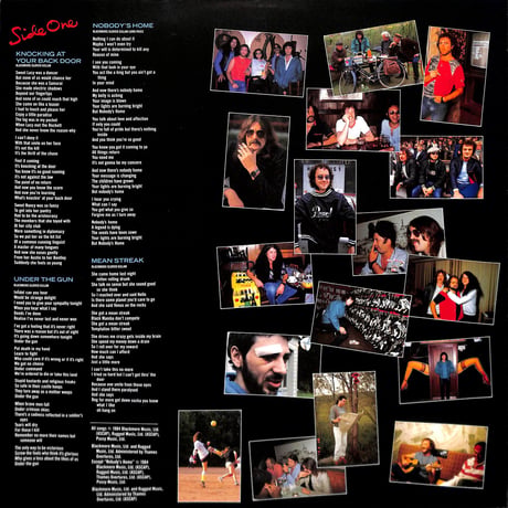 ディープ・パープル / パーフェクト・ストレンジャーズ［※国内盤,品番:25MM 0401］(LPレコード)