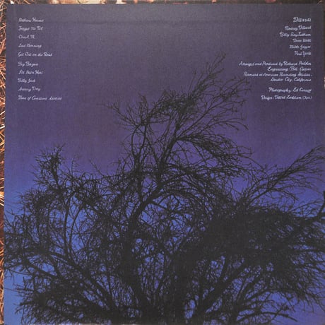 ディラーズ / Roots And Branches [※輸入盤,生産国:US,品番:ANS 5901］(LPレコード)