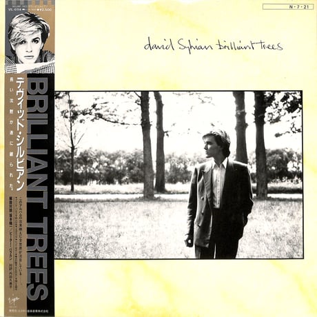 davidsylvian | STORES