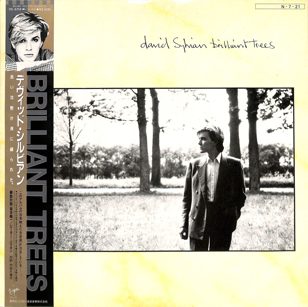 デヴィッド・シルヴィアン / ブリリアント・トゥリーズ（LPレコード