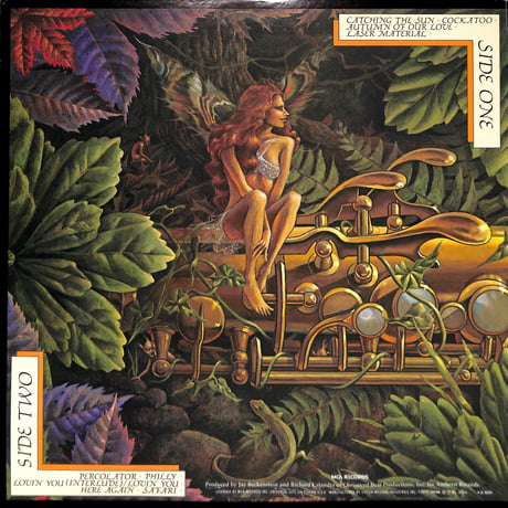 スパイロ・ジャイラ / キャッチング・ザ・サン [※国内盤,品番:VIM-6220］(LPレコード)