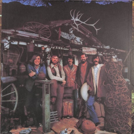 ディラーズ / Roots And Branches [※輸入盤,生産国:US,品番:ANS 5901］(LPレコード)