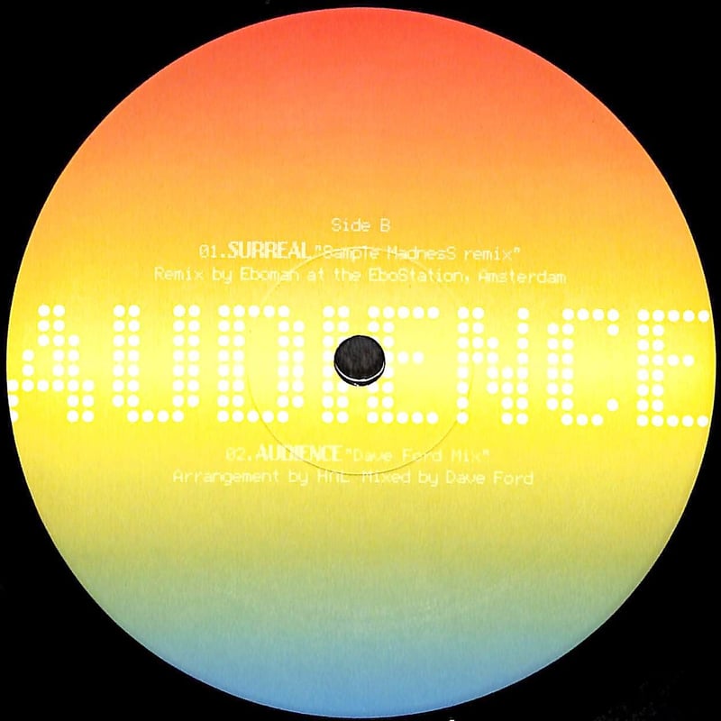 浜崎あゆみ / Audience [※国内盤,品番:RR12-88193］(LPレコード) |