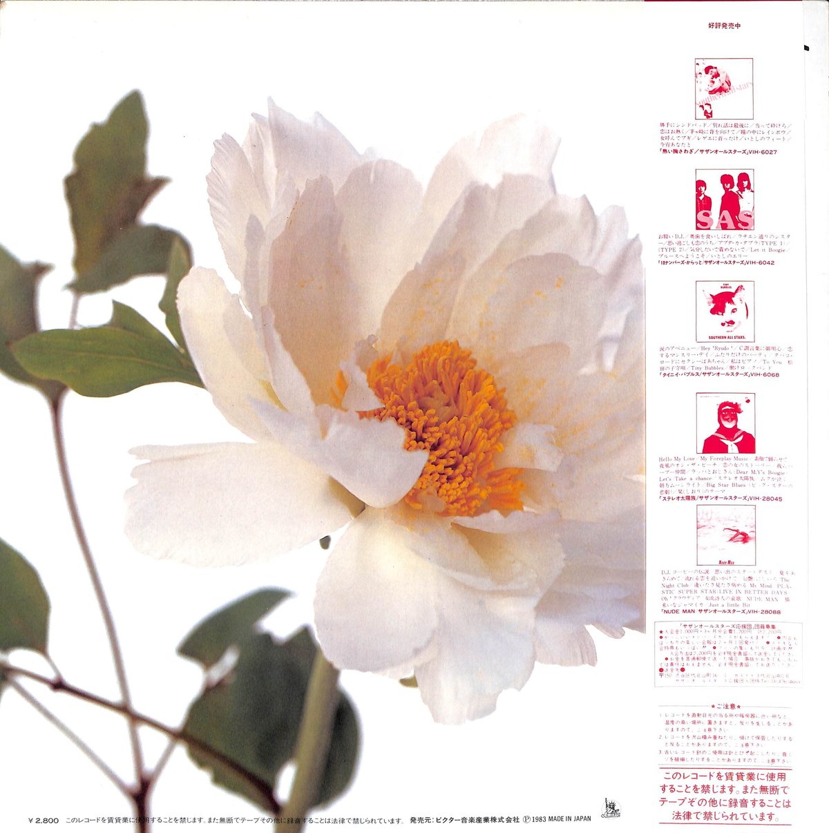 サザンオールスターズ / 綺麗［※国内盤,品番:VIH-28132］(LP