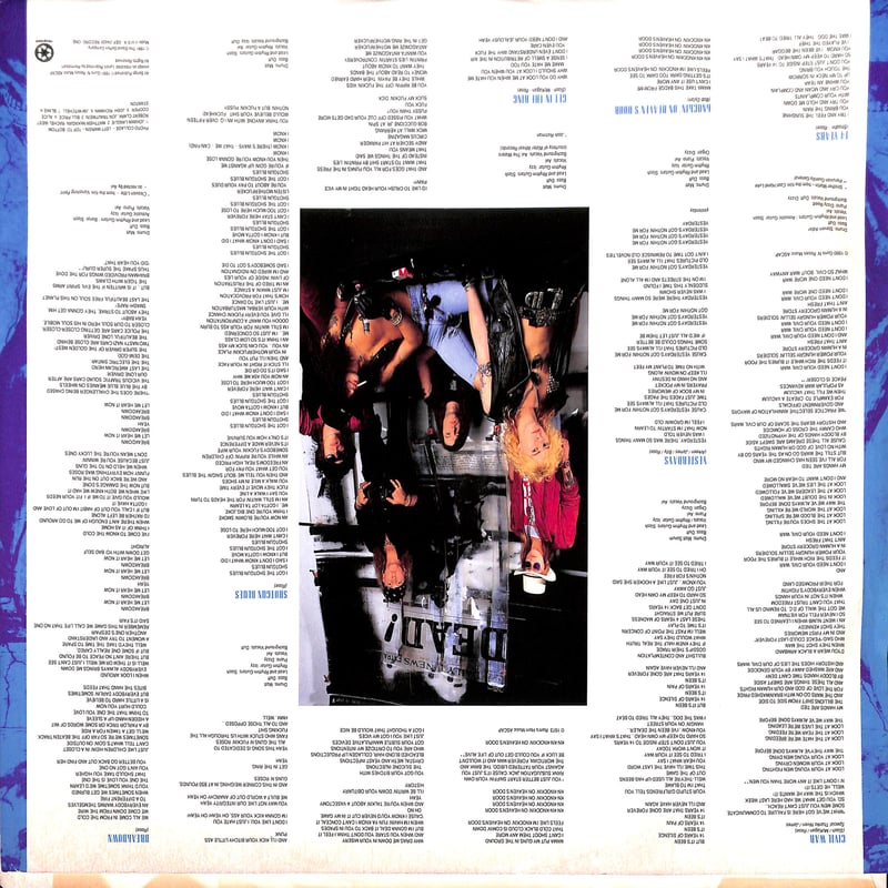 ガンズ・アンド・ローゼズ / Use Your Illusion II [※輸入盤,生産国:U