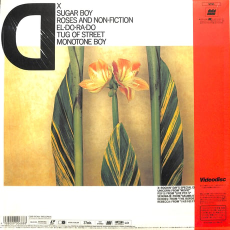 ロッキン・デイズ・ライブ・スペシャル Vol.3 [発売年:1989年][※品番:38LH 253](Laser Disc)