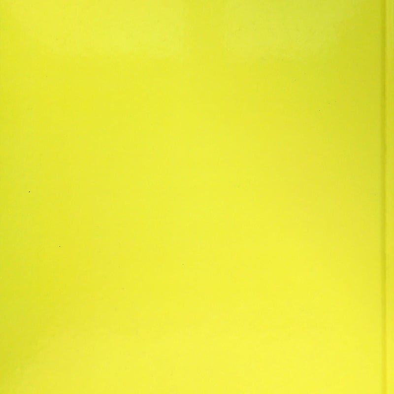 サザンオールスターズ / SeOno Lujana Quites 1999 (コンサートパンフ