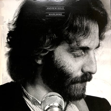 アンドリュー・ゴールド / 風にくちづけ [※国内盤,品番:P-10817Y］(LPレコード)