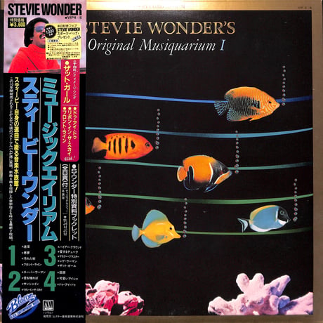 スティービー・ワンダー / ミュージックエイリアム [※国内盤,品番:VIP-4~5,2枚組］(LPレコード)