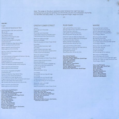 ドナルド・フェイゲン / The Nightfly [※国内盤,品番:P-11264］(LPレコード)