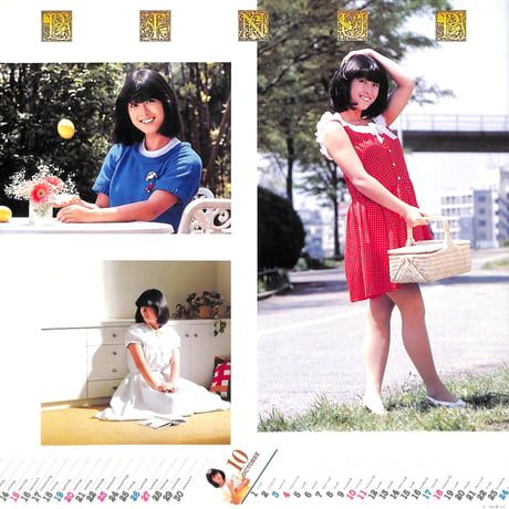 河合奈保子 / Diary [※国内盤,品番:AF-7065］(LPレコード)